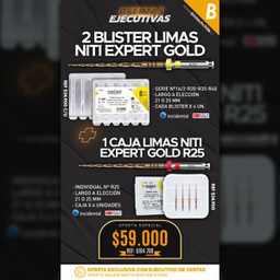[OF59] 2 Blister Limas NiTi Expert Gold Endoart Serie + 1 Caja Limas NiTi Expert Gold Endoart N°R25 Incidental