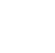 icono categoria