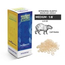Elásticos Intraorales 1/8&quot; Brazilian jungle elastics Orthometric