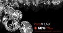 Resina Parafil Lab con Zirconio Prime Dental