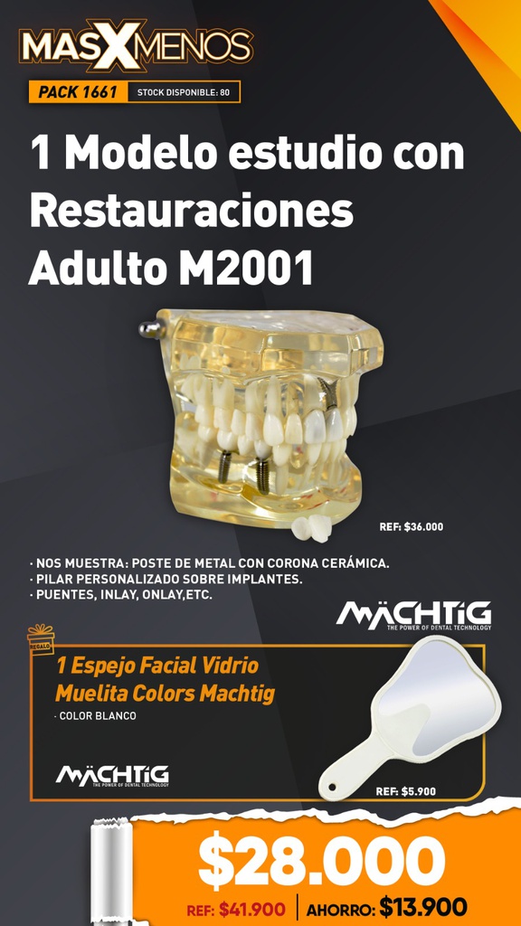 1 Modelo estudio con Restauraciones Adulto M2001 Machtig + Regalo