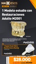 1 Modelo estudio con Restauraciones Adulto M2001 Machtig + Regalo