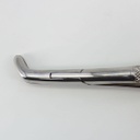 Forceps Adulto Woodpecker