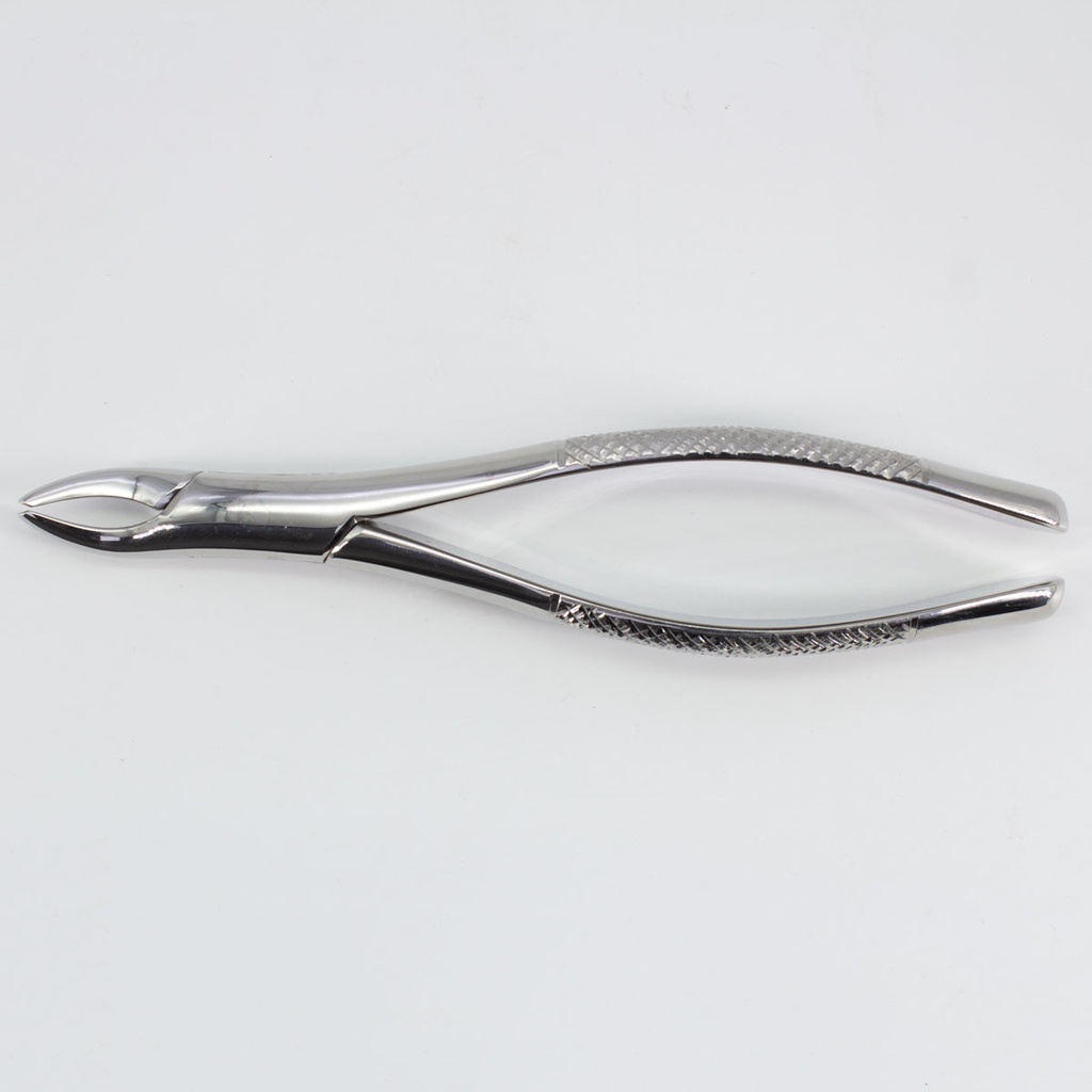 Forceps Adulto Woodpecker