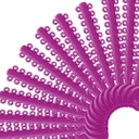 Ligaduras Elásticas en módulos Orthometric