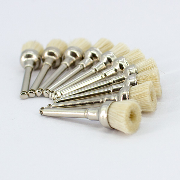 Escobillas Profilaxis Copa Cerdas Machtig