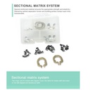 Set Banda Matriz preformada con Clamps Flexibles ZT Dental