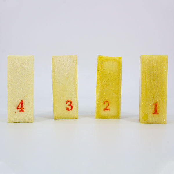 Set de 4 Huesos Dureza para implantología Machtig