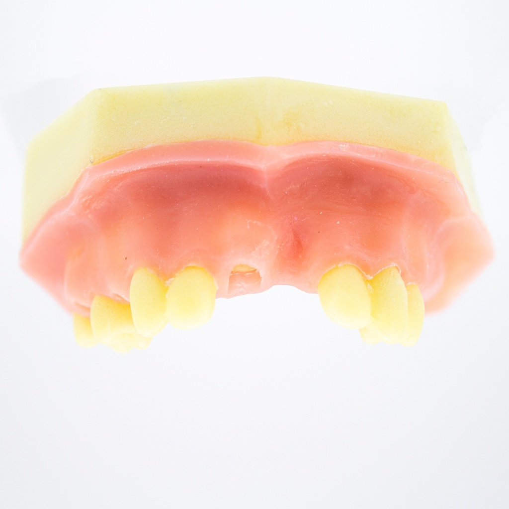 Modelo estudio y práctica Levant.Seno Max.Superior Machtig