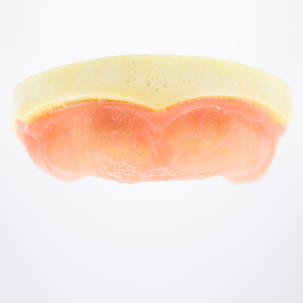 Modelo estudio y práctica Implantología Desdentado con encía Max.Superior Machtig