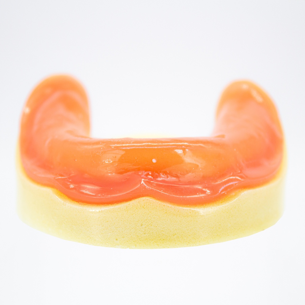 Modelo estudio y práctica Implantología Desdentado con encía Max.Inferior Machtig