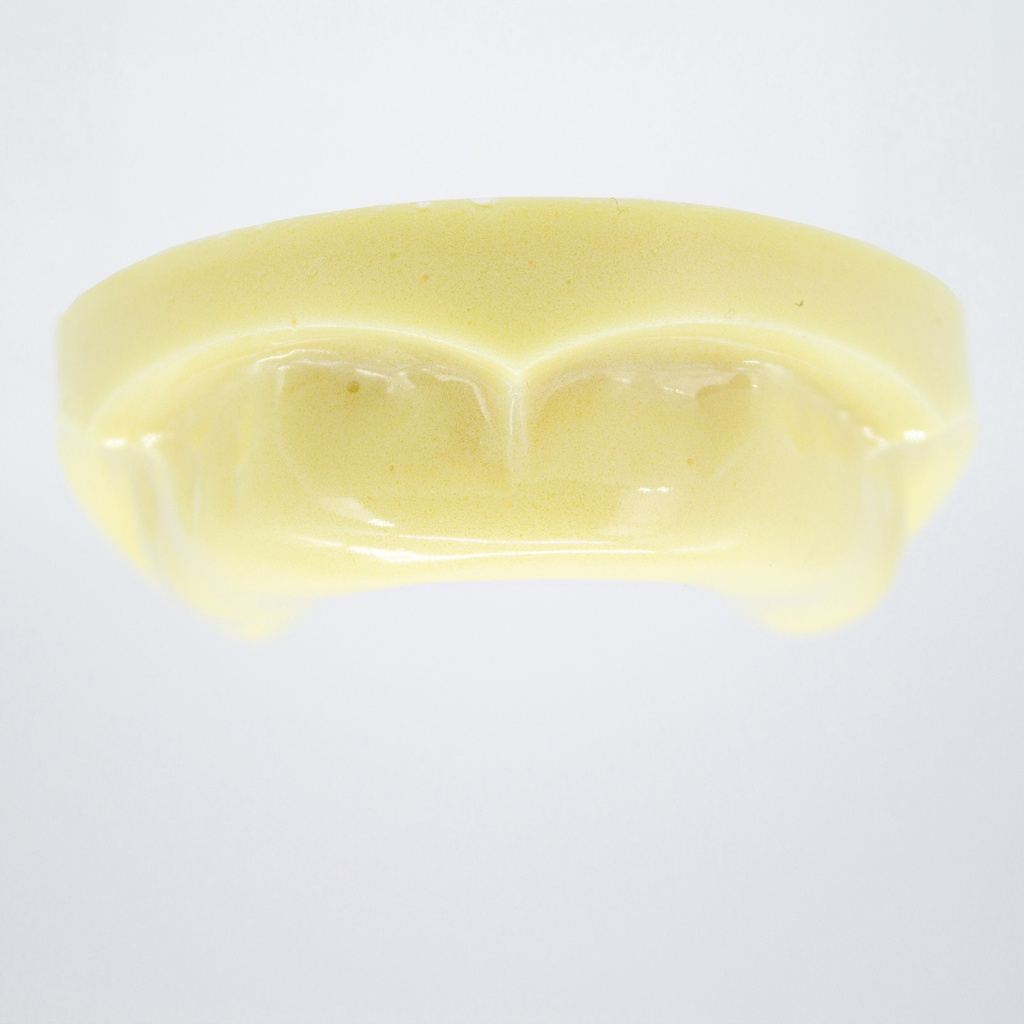 Modelo estudio y práctica Implantología Desdentado Max.Superior Machtig