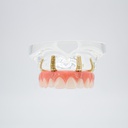 Modelo estudio y práctica Rehabilitación Prótesis con 4 tornillos Max. Superior Machtig