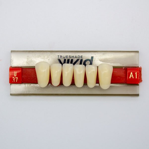 Tableta de Dientes Acrílicos U37 Vivid