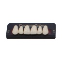 Tableta de Dientes Acrílicos E3 Upper CompacZahn Incidental