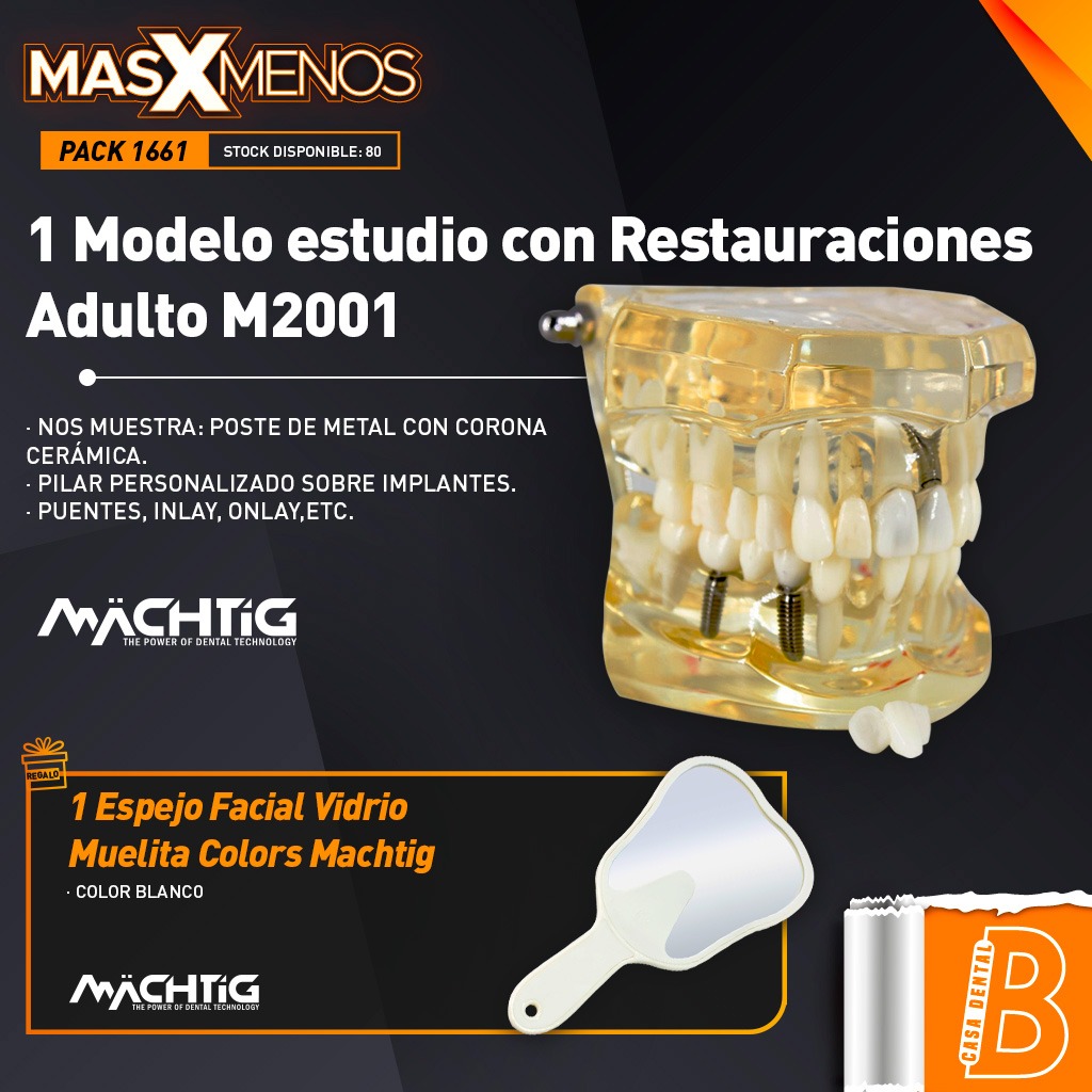 1 Modelo estudio con Restauraciones Adulto M2001 Machtig + Regalo