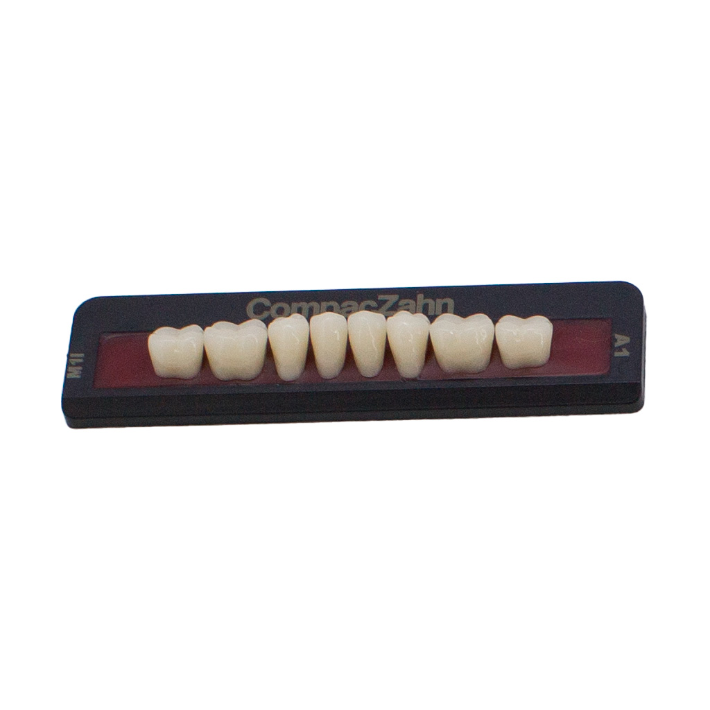 Tableta de Dientes Acrílicos M1 Lower CompacZahn Incidental