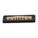 Tableta de Dientes Acrílicos M4 Lower CompacZahn Incidental