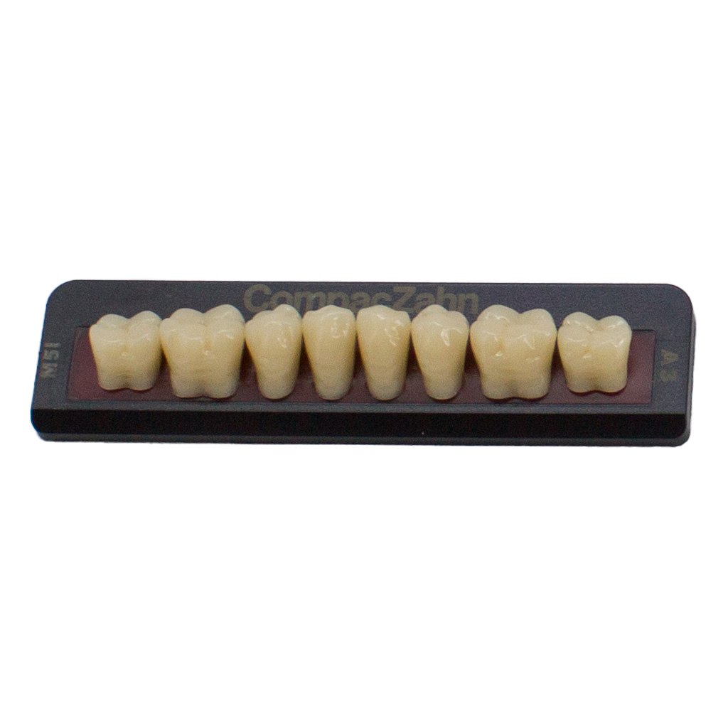 Tableta de Dientes Acrílicos M5 Lower CompacZahn Incidental