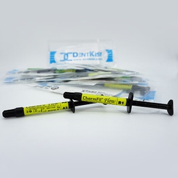 Resina Composite Fluída CharmFil Flow Dentkist