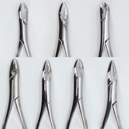 Forceps Adulto Woodpecker