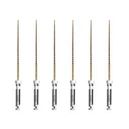 [END406925] Limas Mecanizadas NiTi Path Gold File Endoart Incidental