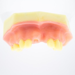 [DIA4159] Modelo estudio y práctica Levant.Seno Max.Superior Machtig