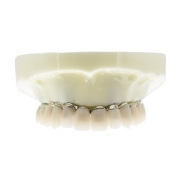 [DIA4564] Modelo estudio y práctica Rehabilitación con 4 tornillos Max. Superior M6023 Machtig