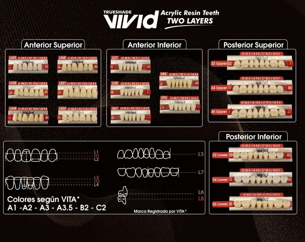 Tableta de Dientes Acrílicos 34U Vivid