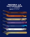 Kit Maquillaje para resinas 3D MakeUp Prizma Makertech