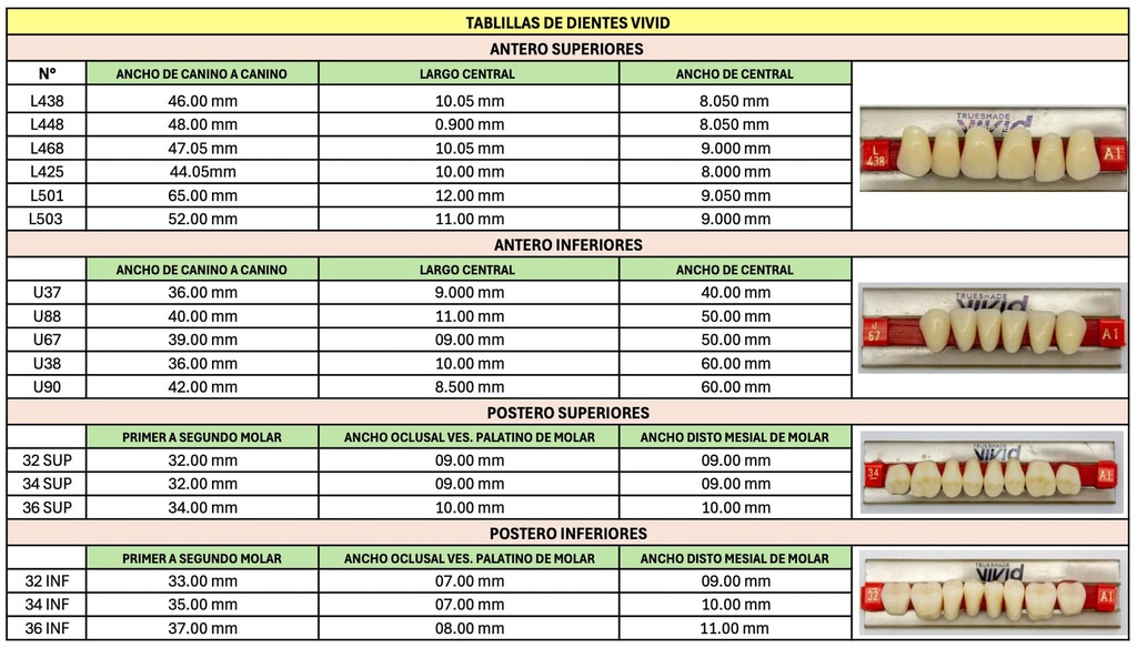 Tableta de Dientes Acrílicos 34L Vivid