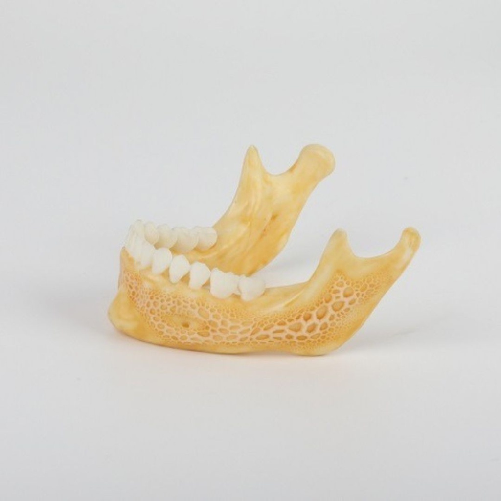 Impresora digital 3D Halot R6 PioNext PioCreat 3D