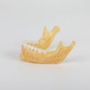 Impresora digital 3D Halot R6 PioNext PioCreat 3D