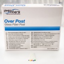 Postes Fibra Vidrio Prosthetic Overfibers