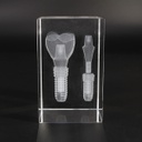 Modelo Cristal Implante Posterior Z6005 Machtig