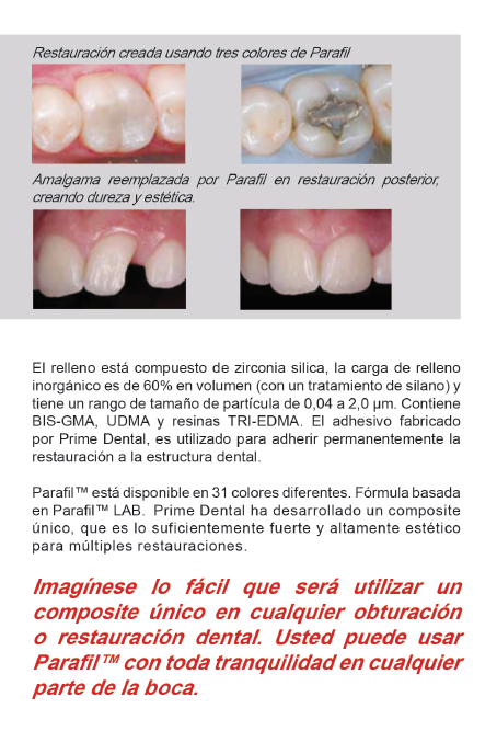 Resina Composite Parafil Zirconium Prime Dental