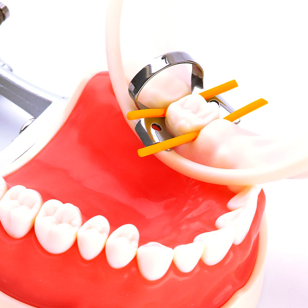 Cordón estabilizador elástico Stabilizing cord ZT Dental