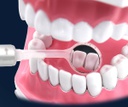 Sistema de Espejo intraoral y succión C-Mirror Coxo