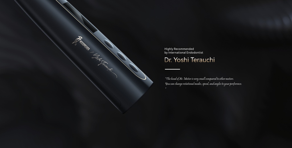 Motor Endodoncia Ai-Motor Brushless Woodpecker