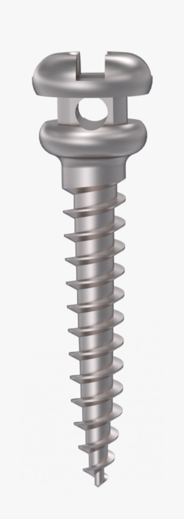 Mini Implantes Orthofit N Diámetro 1,4 x 2 mm DSP