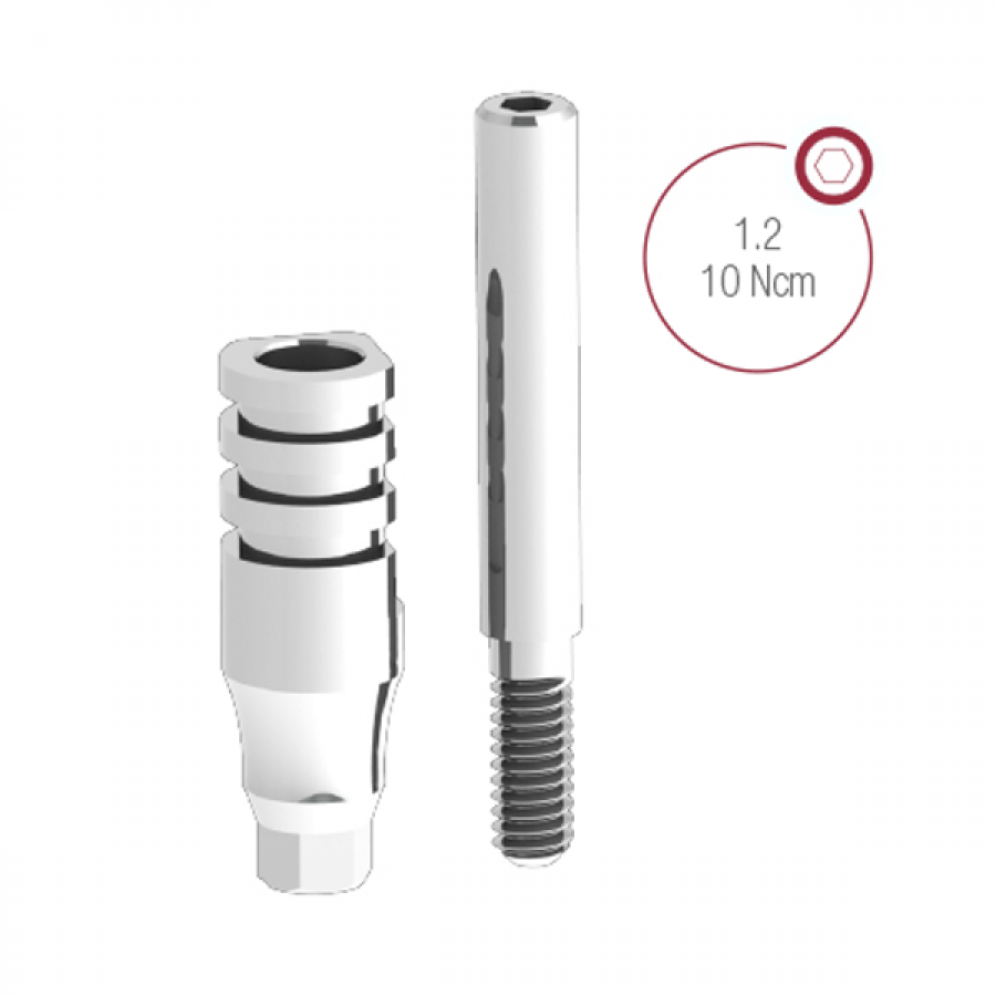 Transfer de impresión cubeta HIS DSP