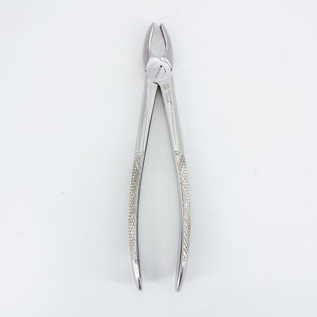 Forceps acero Adulto Machtig