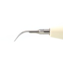 Puntas para Ultrasonido "G" Woodpecker