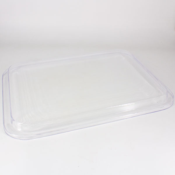 Tapa Cubierta Transparente para Bandeja Plasdent 300BF