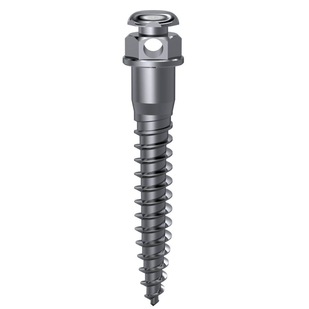 Mini Implantes Orthofit Diámetro 1,4 x 2 mm DSP