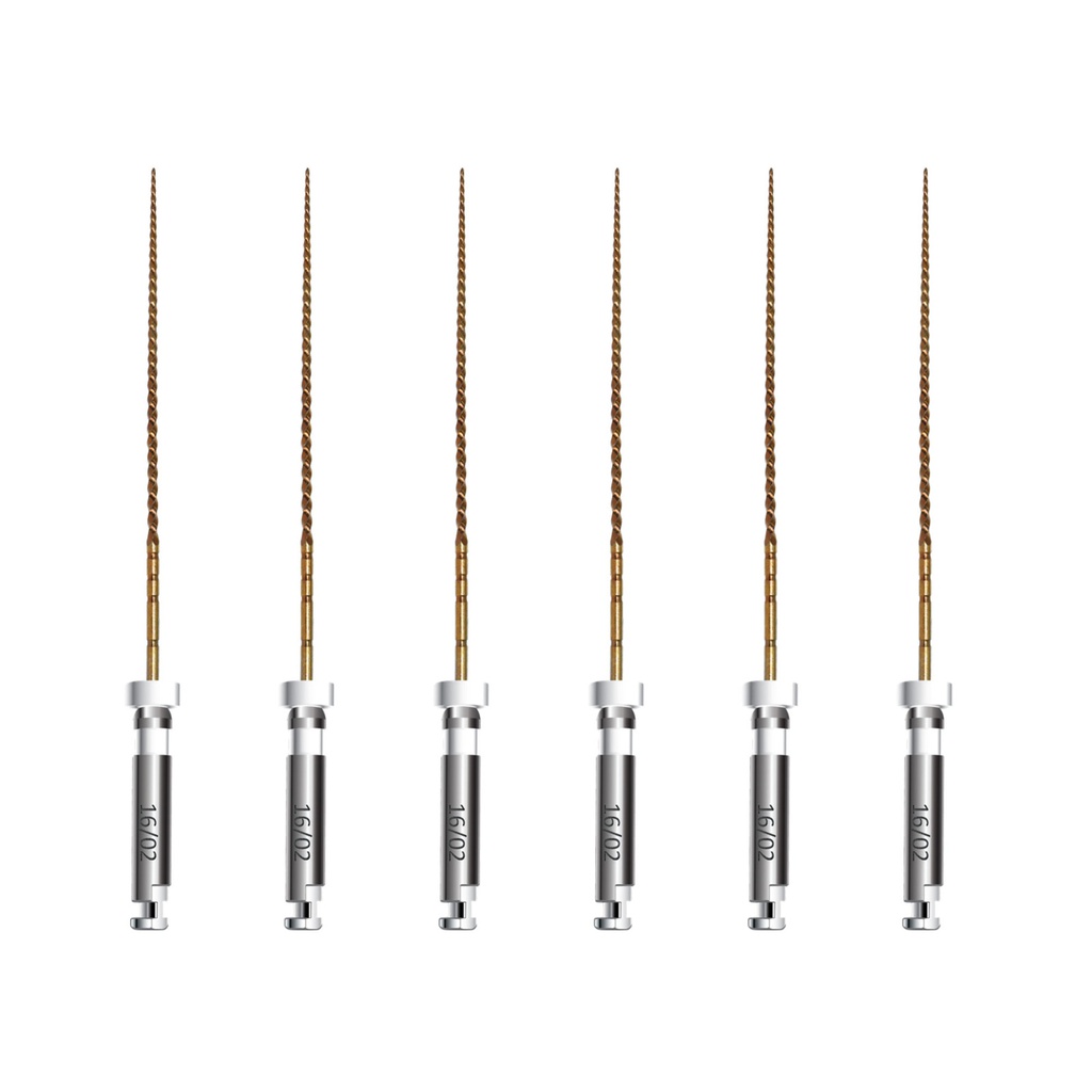 Limas Mecanizadas NiTi Path Gold File Endoart Incidental