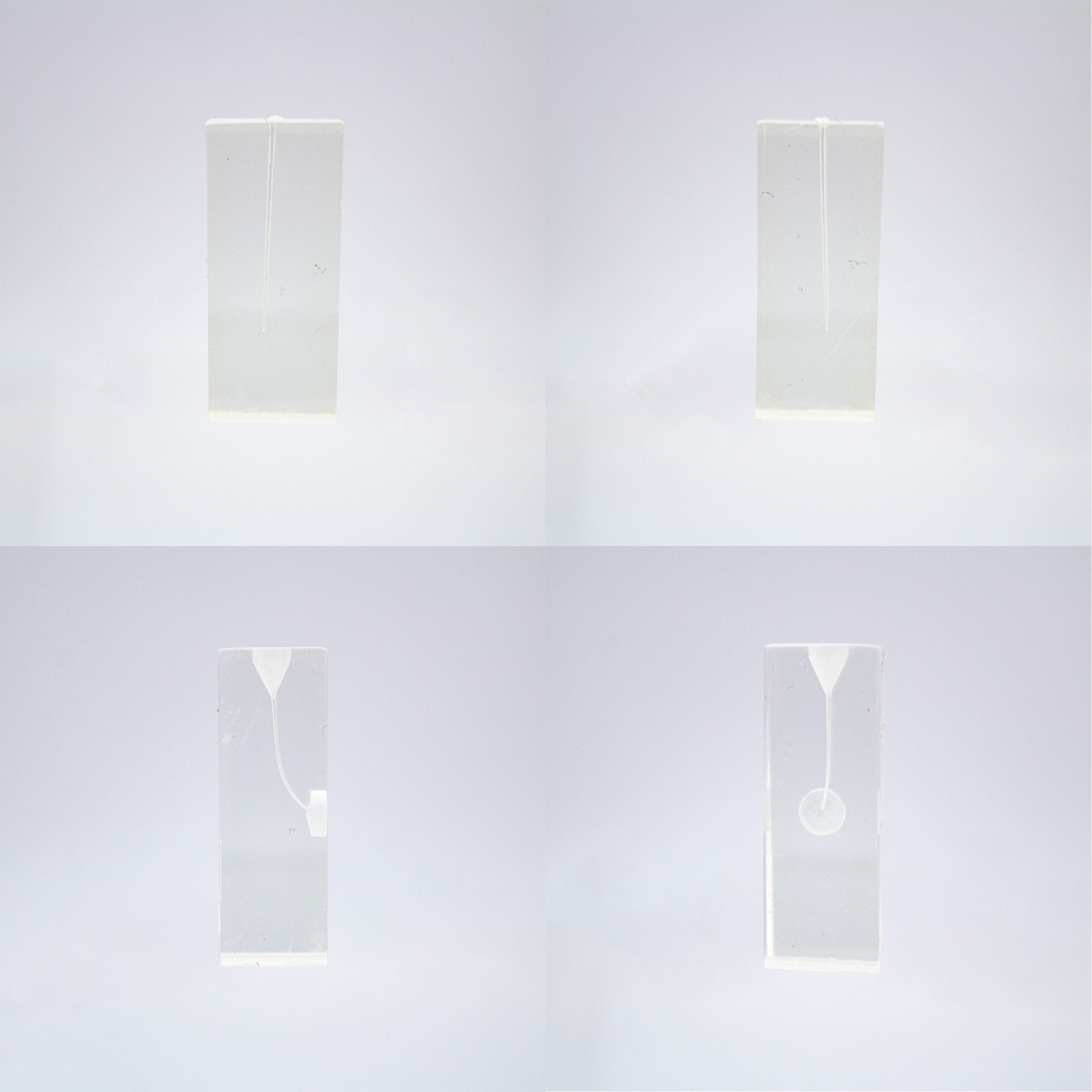 Set de Conductos para entrenamiento endodóntico Machtig