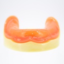 Modelo estudio y práctica Implantología Desdentado con encía Max.Inferior Machtig