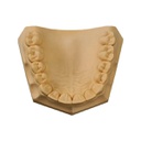 Yeso Tipo IV Silky-Rock 1 kg Whip Mix