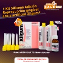 1 Kit Silicona Adición Reproducción gingival Encía artificial Xilgum Lascod